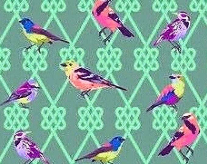 SPR - Birds Scrub Cap