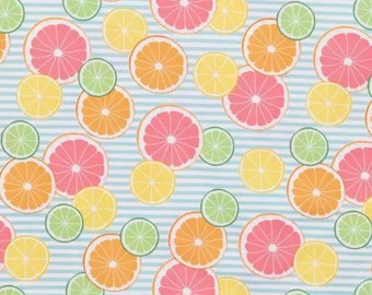 SUM - Citrus Fruits on Stripes Scrub Cap