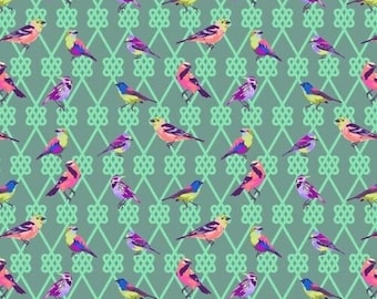 SPR - Birds Scrub Cap