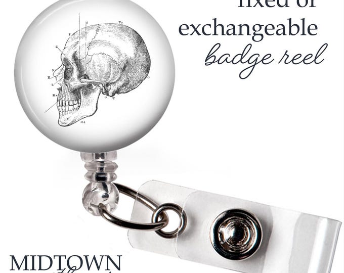Skull Anatomy Badge Reel or Exchangeable Topper