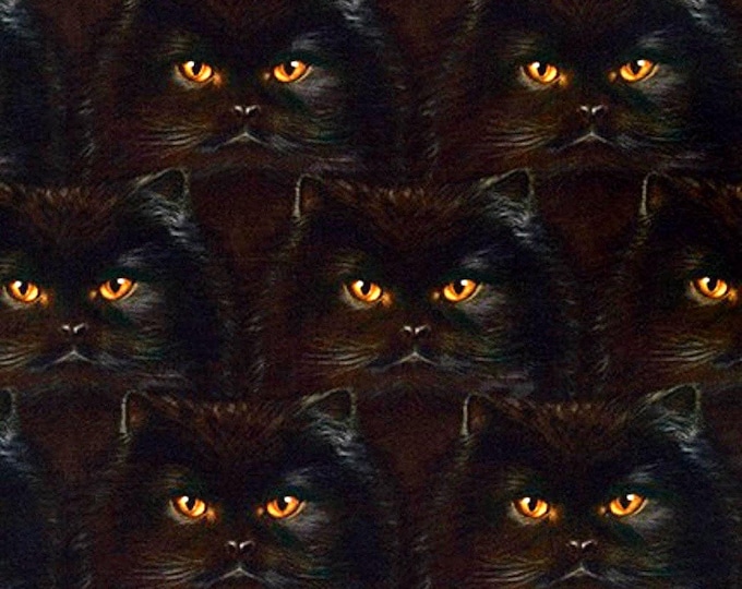 HAL - Scary Black Cats Scrub Cap