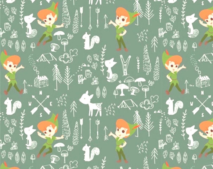 DIS - Peter Pan Scrub Cap