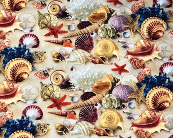 Seashells