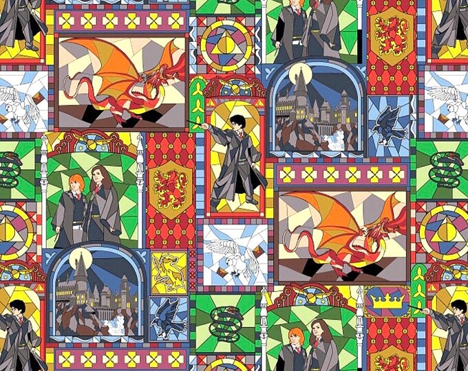 HP - Hogwarts Stained Glass Scrub Cap