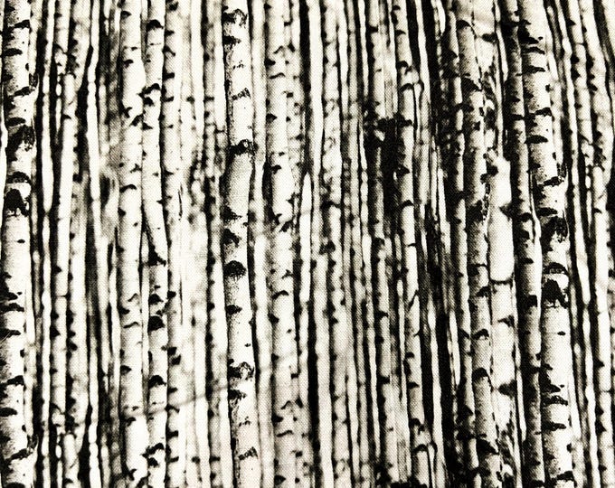 Birch Trees Scrub Cap