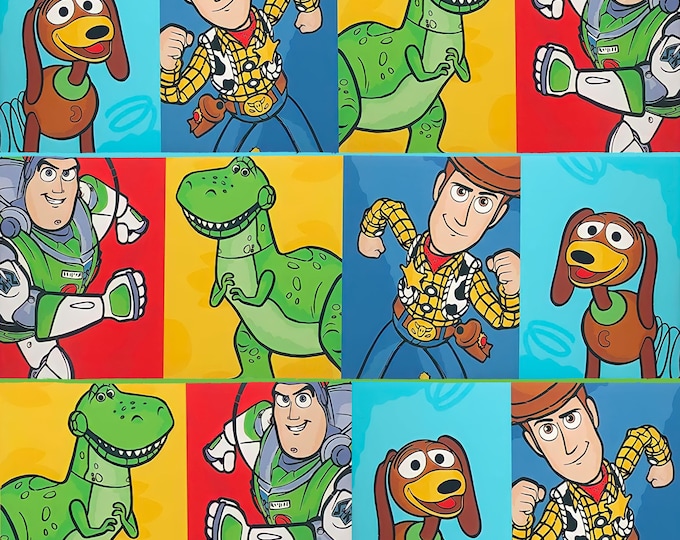 DIS - Toy Story Scrub Cap