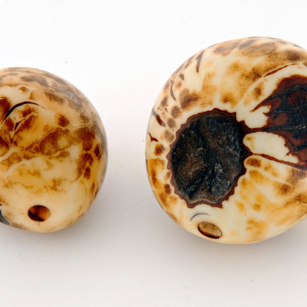 Natural whole Amazonian polished tagua nut bead with natural markings variable, size 30-40mm, hole 3-4mm (ba150)