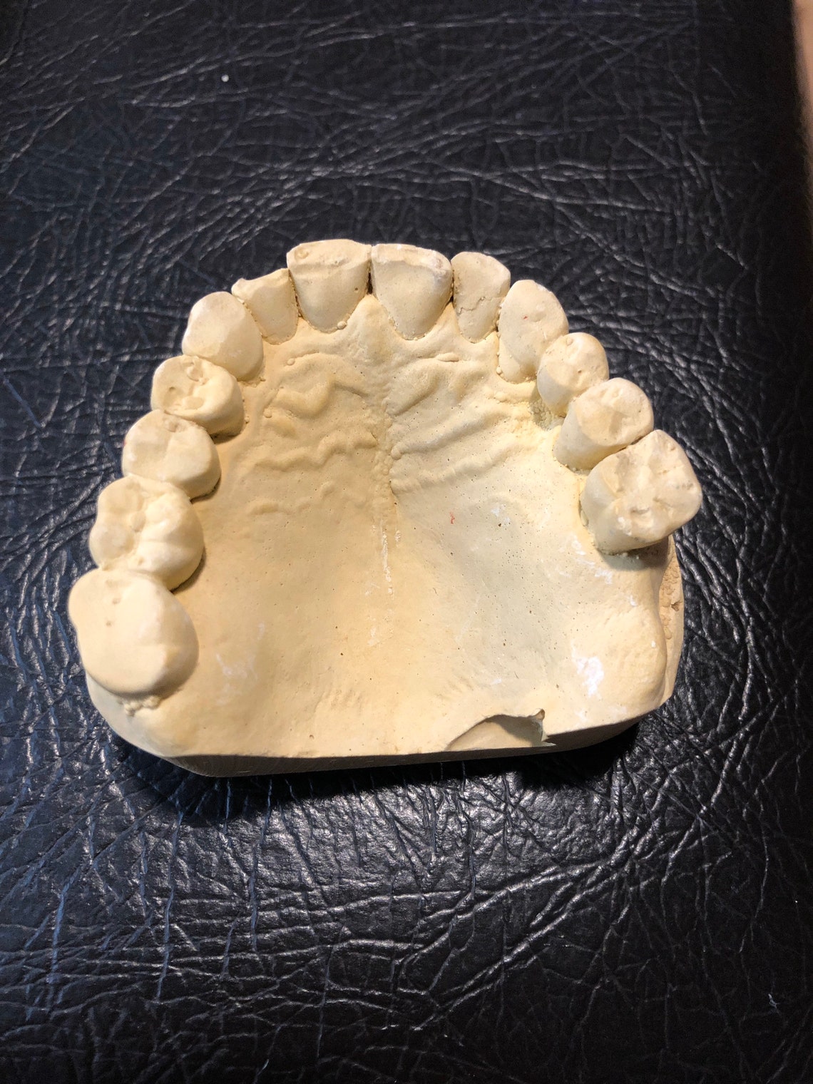 Plaster Dental Mold teeth Etsy