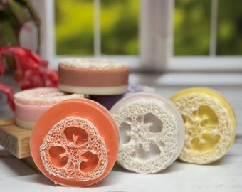 Loofah Soap/ Spa Soap/ Handmade Soaps/NEW Scents