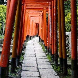 Travel photography Japan Tokyo Nezujinja Alexandre CHARGROS Photography achargros.com