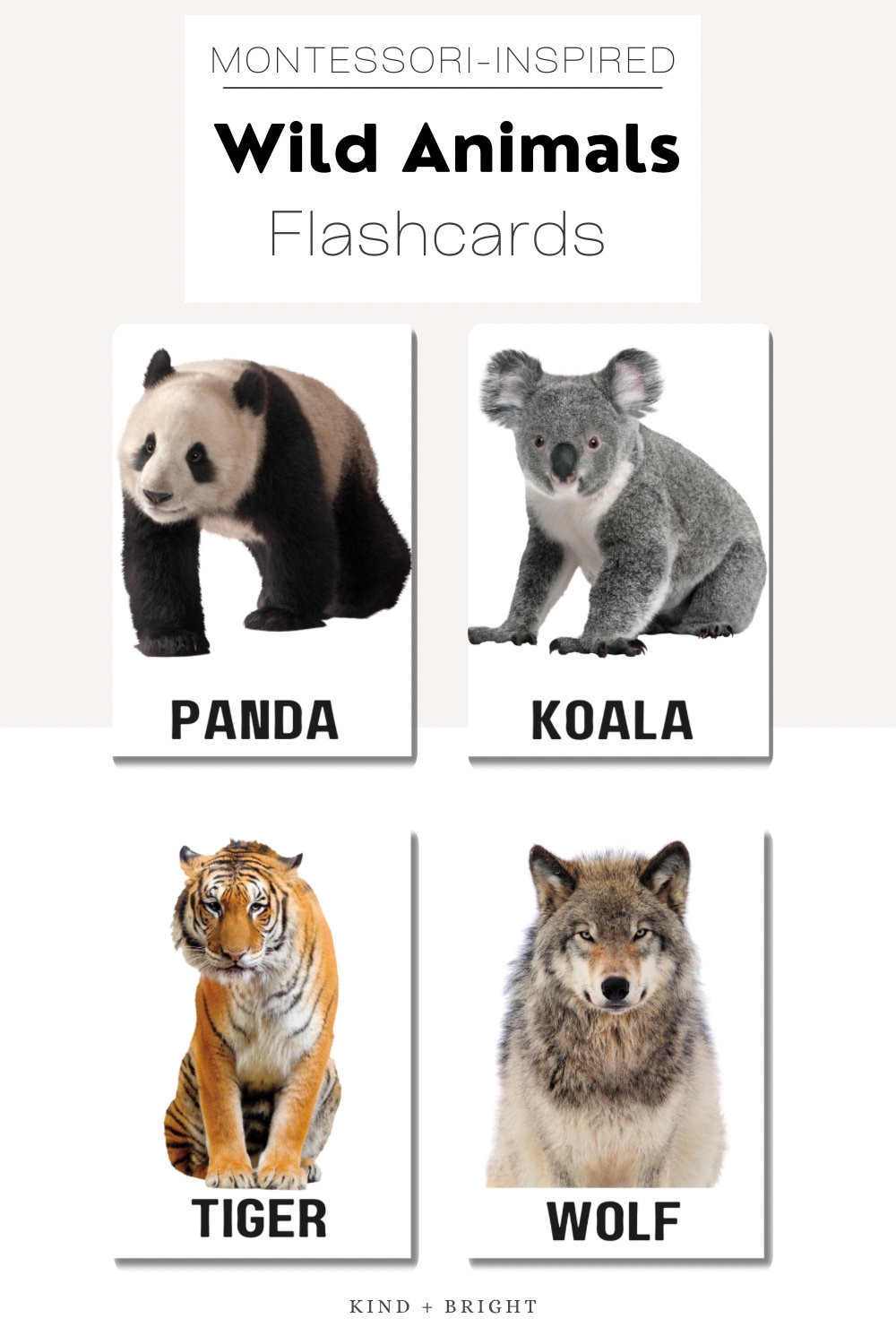 Wild Animal Flashcards for Toddlers 20 Realistic Animals Printable PDF ...