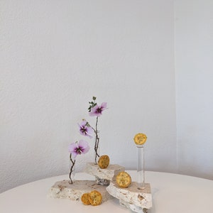 Propogation Plant Single Stem Bud Vase Premium Travertine Stone Vase ...