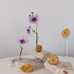 Propogation Plant Single Stem Bud Vase Premium Travertine Stone Vase ...