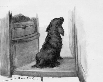 Maud Earl Vintage 1930 Spaniel dog print - Original Vintage Dog Bookplate - Birthday gift for dog lover - Canine print - Spaniel print - 11