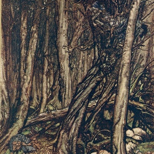 Arthur Rackham Undine Antique Print From a 1st Edition Dated 1919 ...