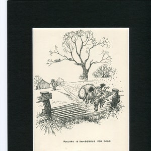 Thelwell Dogs Original Vintage Cartoon Dog Print 1964 entitled "Poultry is dangerous for dogs"   matted print
