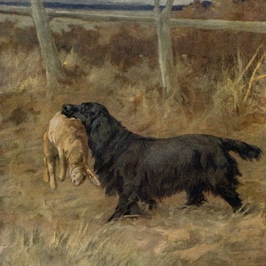 Maud Earl Vintage 1930 Spaniel Colour dog print   Original Vintage Dog Bookplate   Birthday gift for dog lover   Canine print