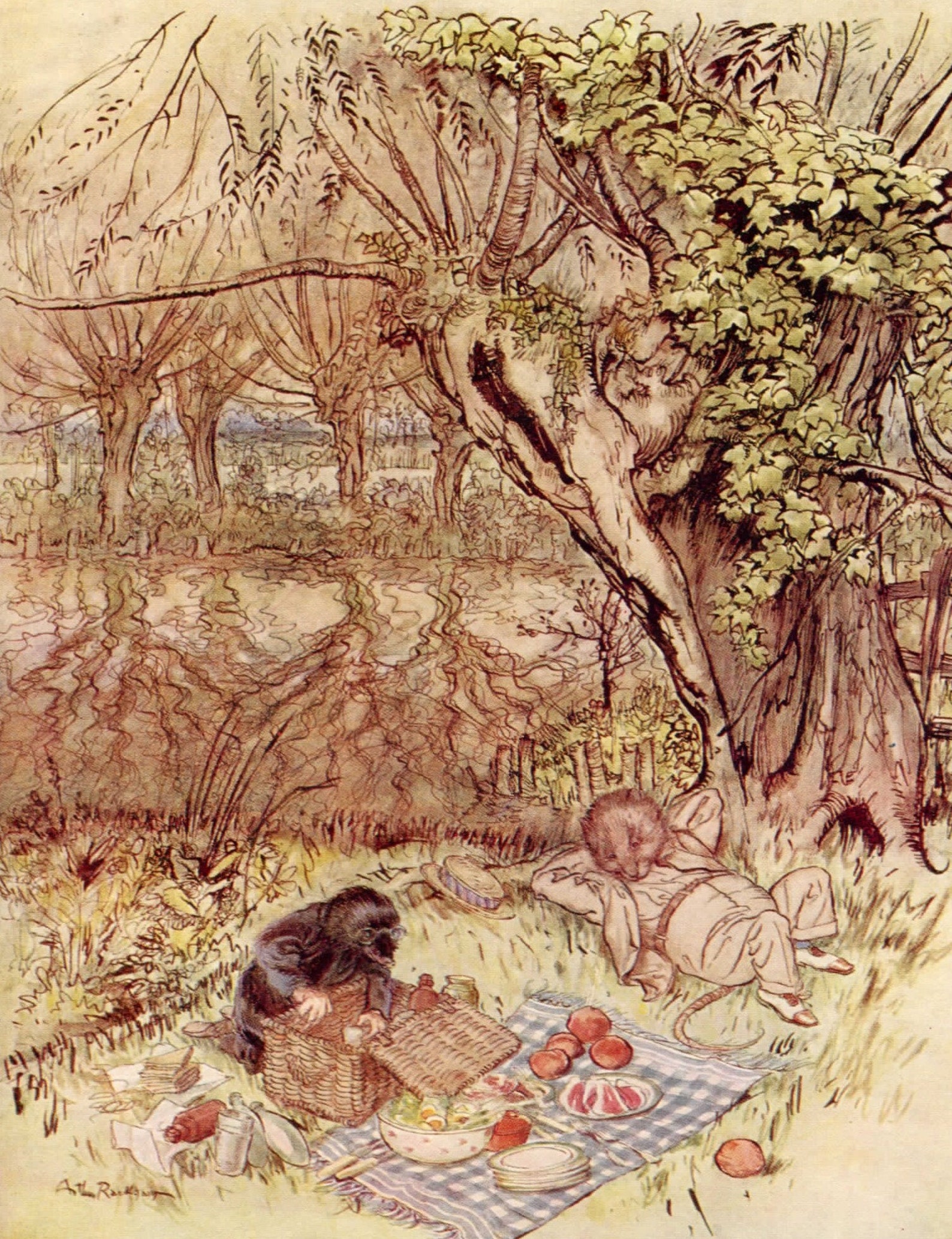 Arthur Rackham Vintage Print From Wind in the Willows by Kenneth Graham ...