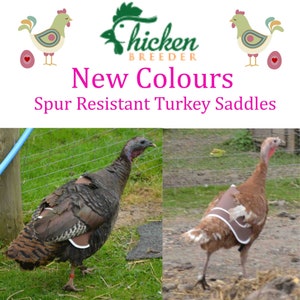 Turkey saddle, Chicken Saddle, stag protector, turkey apron, turkey protector , waterproof canvas, Velvet Lined. Also Available in Black image 1