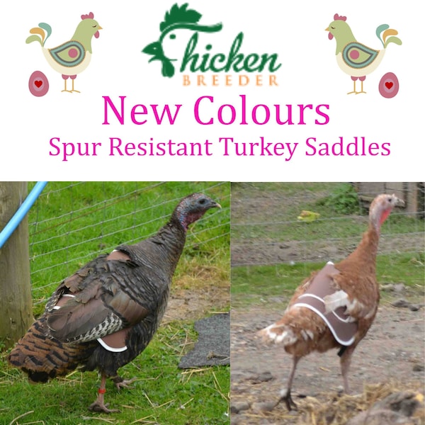 Turkey saddle, Chicken Saddle, stag protector,  turkey apron, turkey protector , waterproof canvas, Velvet Lined. Also Available in Black