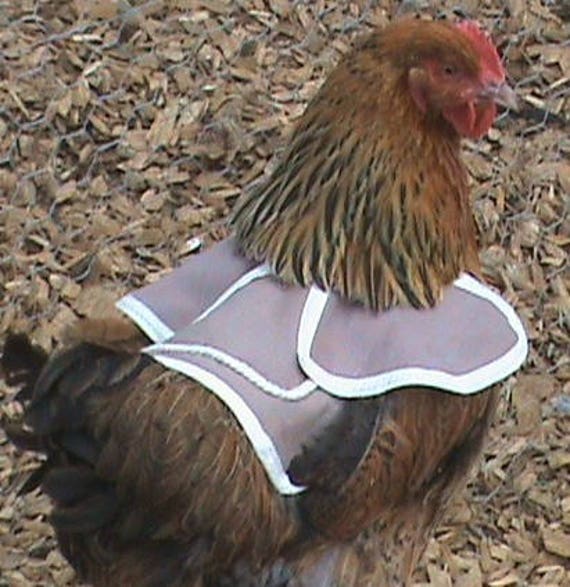 Geflügelschürze mit Einzelband Geflügelpflegezubehör für Hühnergeflügel in Standardgröße Facynde Hühnersattel für Hühner Hühnersattelschürze