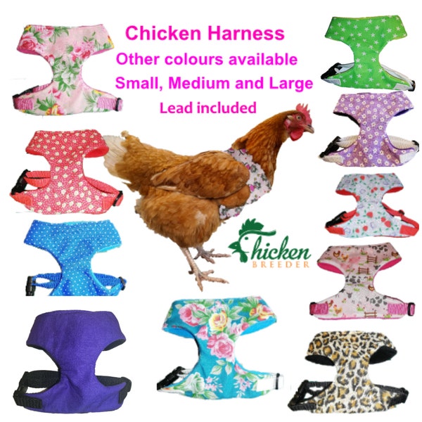 Chicken Harness Hen Harness Duck Harness  Harnesses for chickens including leash  UK hand made various designs fleece lined, adjustable, pet