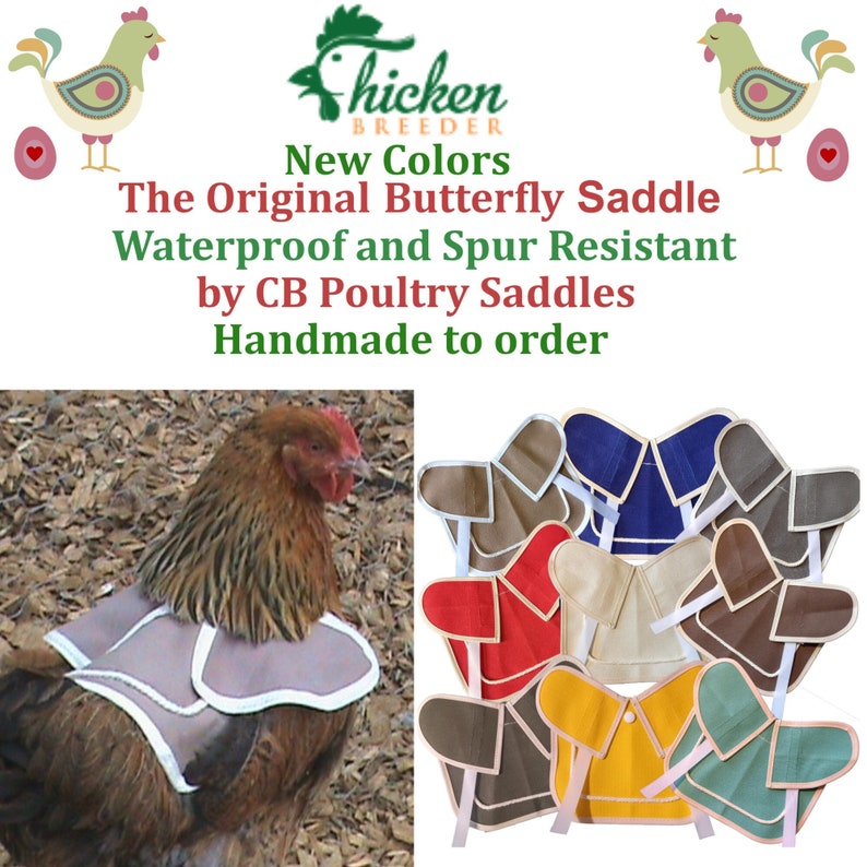 Chicken Saddle Chicken Apron Hen Protector POULET WING Etsy