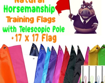 Natural Horsemanship Trainingsvlag met telescopische vlaggenmast, regenboog, Rip Stop-materiaal, maak uw paard ongevoelig