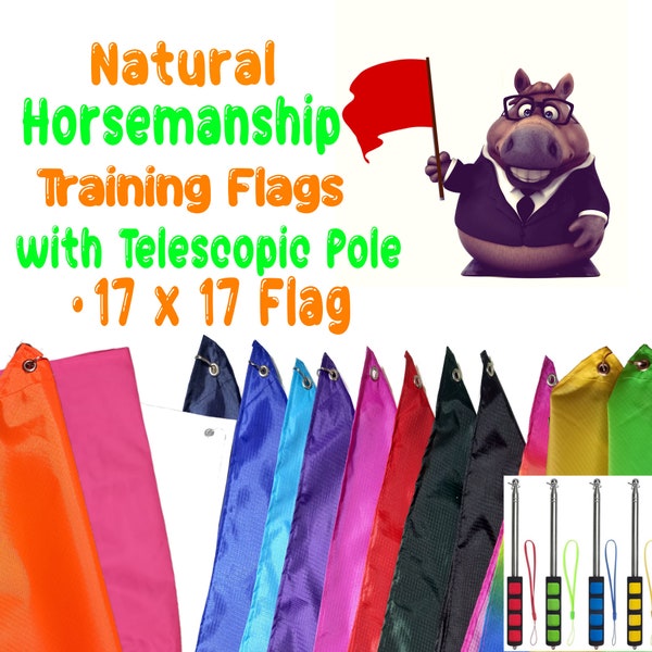 Natürliche Horsemanship Trainingsfahne mit Teleskop-Flaggenstange, Regenbogen, Rip-Stop-Material, Desensibilisieren Sie Ihr Pferd