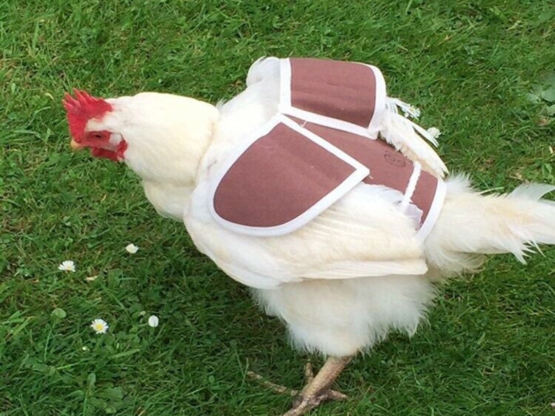 Chicken Saddle Chicken apron Hen protector POULET WING Etsy