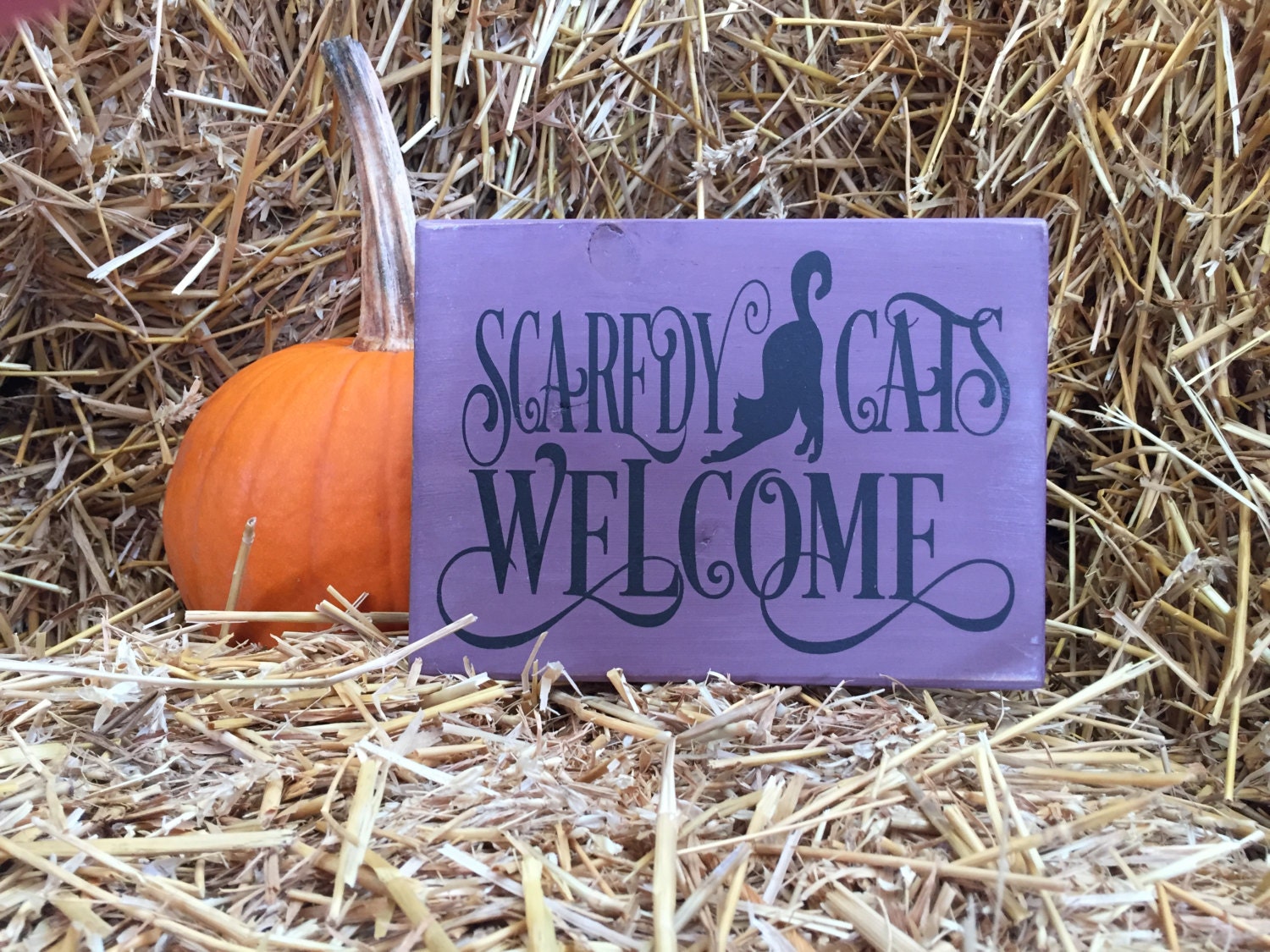 10 Round Wooden Sign: Vintage Scaredy Cats Welcome [AP7301