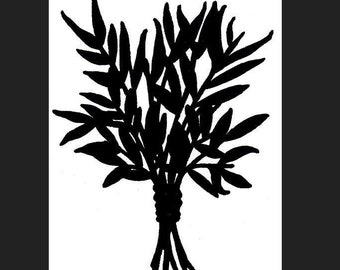 Sage Plant SVG / PNG / JPG files | Digital Cutting Machine File | Sage Bundle Herb Silhouette | Botany Spices | Original Art