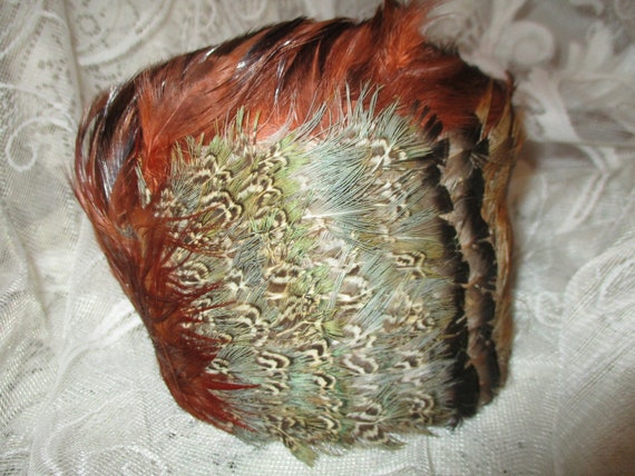 feather curvette/caplet/head band - image 4