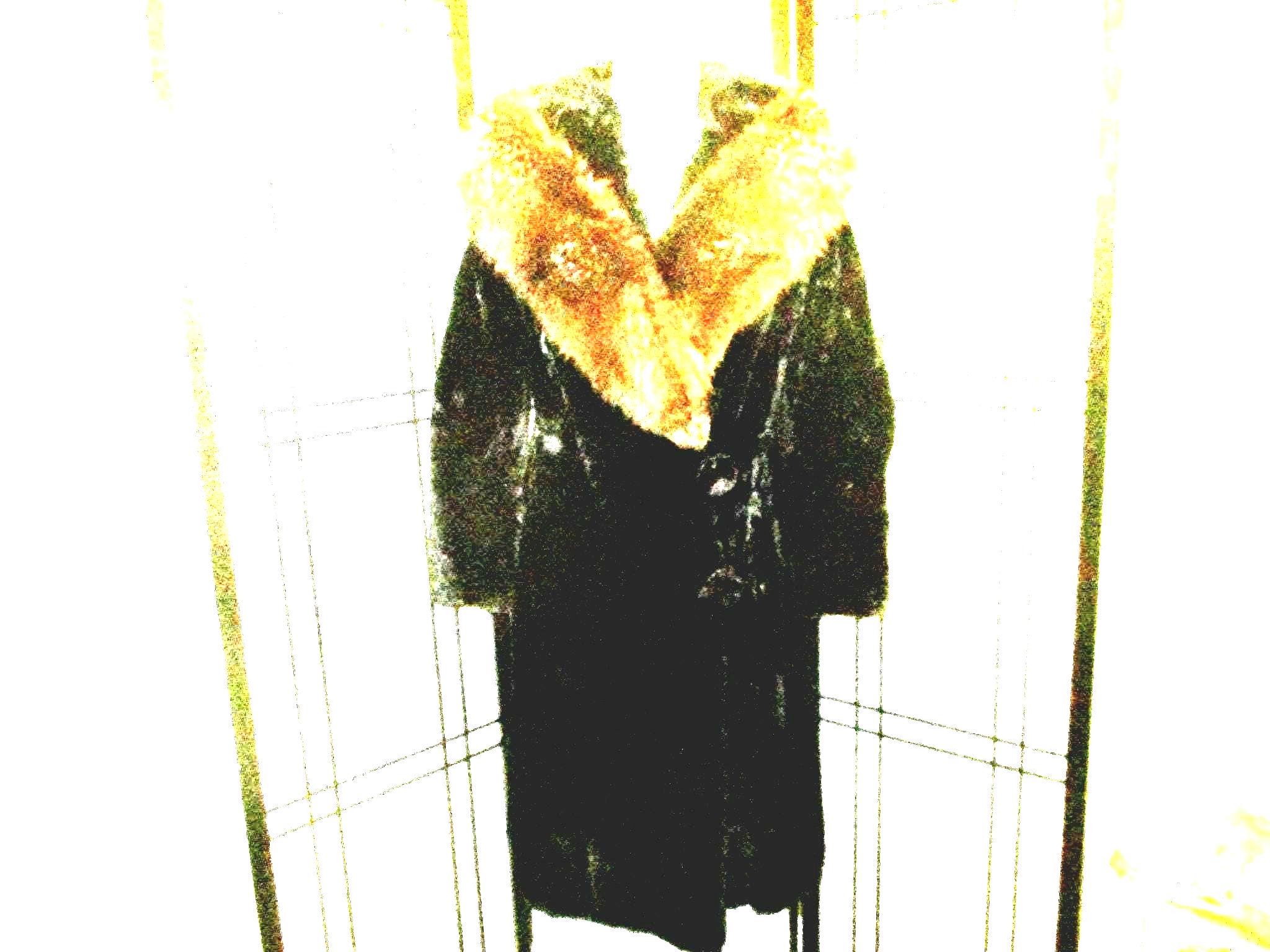 B. Altman & Co. Fox Fur Trim Fur Coat Not Available After July 31