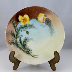 Vintage H&Co Selb Bavaria Hand-Painted Wildflower Plate