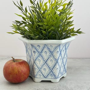 May include: A white ceramic planter with a blue diamond lattice pattern and small floral motifs inside each diamond, containing a lush green plant, positioned next to a single red apple on a light gray surface.