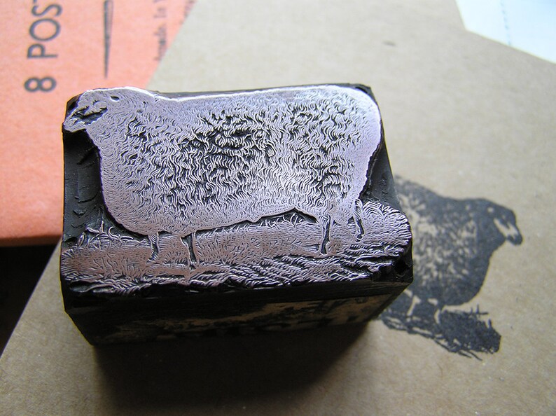 Thank ewe sheep Letterpress thank you card