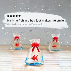 Tiny Goldfish in a Bag 244