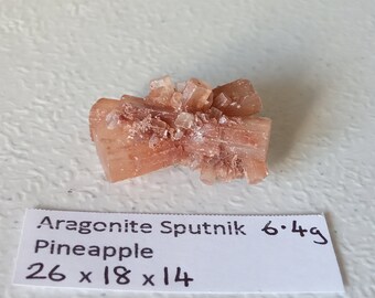 Viola Resina Gedy Irina Portasapone 11,8/ x 11,8/ x 2,5