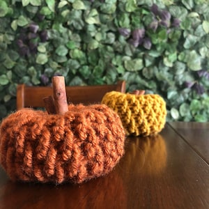 Pattern - The Woodsy Pumpkin