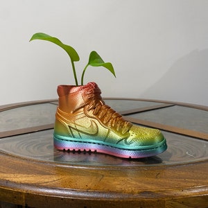 May include: A rainbow-colored high-top sneaker planter with a small green plant growing out of it. The sneaker is sitting on a wooden table.