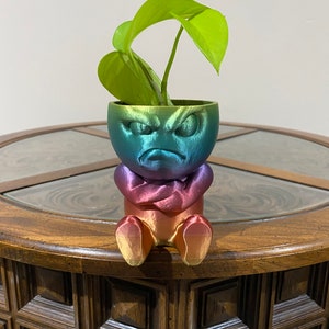 May include: A rainbow-colored, 3D printed planter shaped like a person with an angry expression. The planter is holding a small green plant.