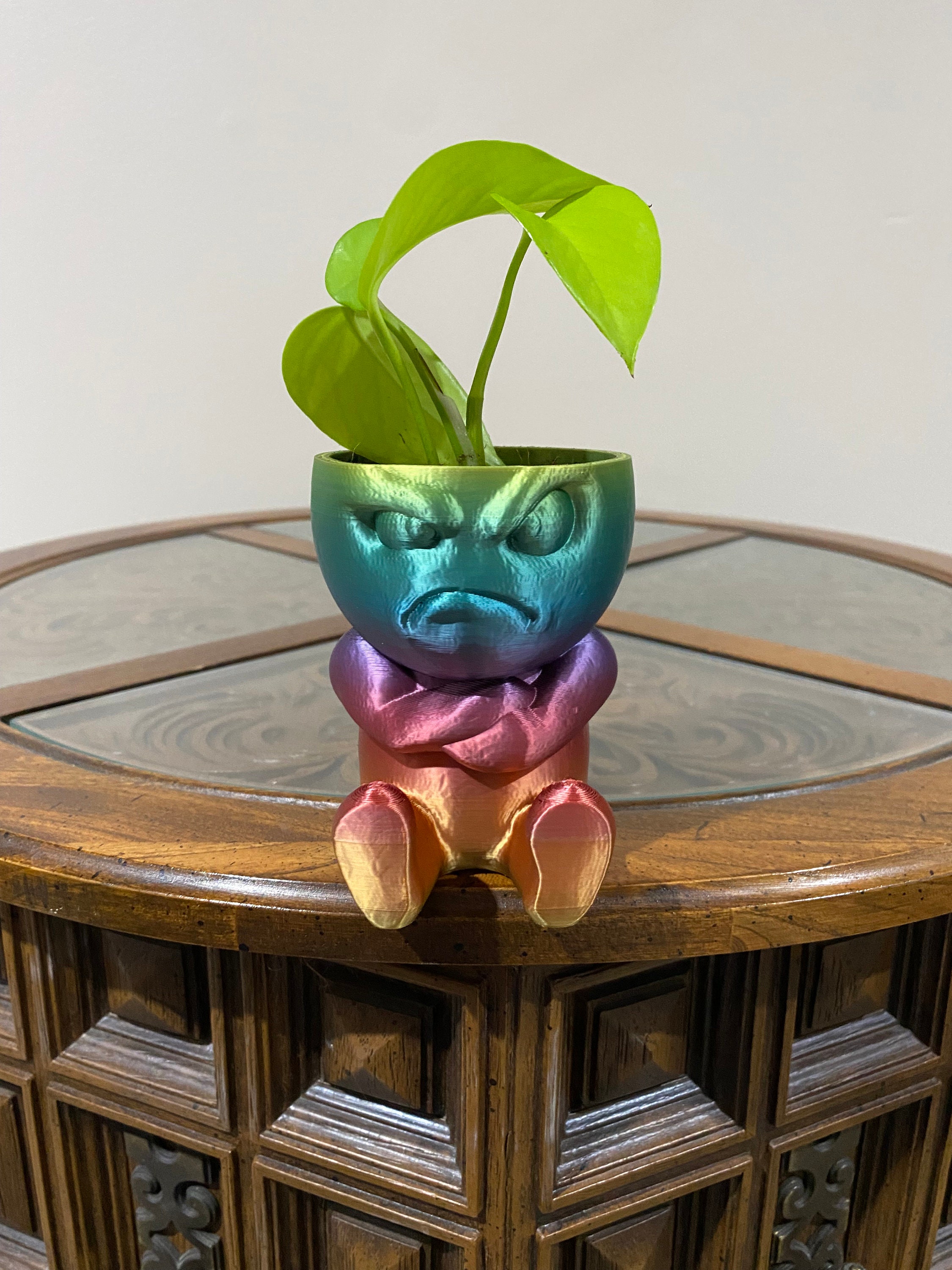 Grumpy Man Plant Pot, 3D Printed Planter, Unique Plant Pot- Free Ship - Etsy