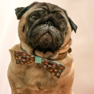 Bow Tie (or Bow!)