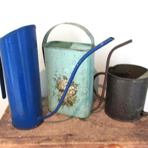 May include: Three watering cans of varying shapes and colors. One is a tall, cylindrical, bright blue metal can. The second is a rectangular, light mint green metal can with a floral decal. The third is a short, dark brown, cylindrical metal can.
