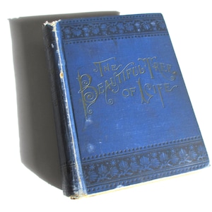 May include: An antique book titled "The Beautiful Tree of Life" with a blue cover and gold lettering. The cover has decorative borders and the book is slightly angled, showcasing its spine and cover details.