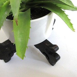 May include: A houseplant with green, spiky leaves in a white ceramic pot. The pot sits on a dark brown, carved wooden stand. The plant's leaves are a vibrant green, and the pot's white surface contrasts with the dark stand.