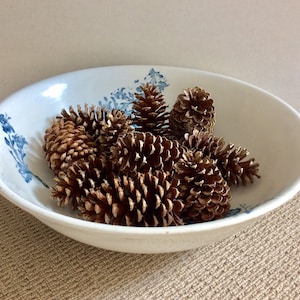 Vintage Maddox Works Ironstone Bowl: Blue Floral Transferware, English Farmhouse Decor