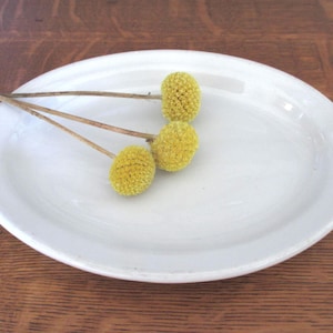 Antique White Ironstone Oval Plate: Jewelry Key Drop Dish