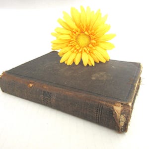 Vintage Antique Webster&#39;s Primary School Dictionary 1892 Dictionary Reference Books